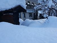 2019-01-25 15.40.49